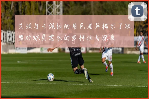 艾顿与卡佩拉的角色差异揭示了联盟对球员需求的多样性与深度