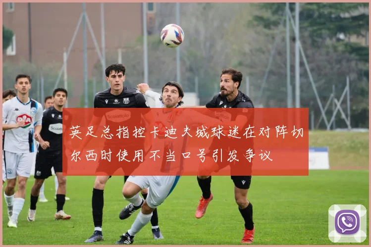 英足总指控卡迪夫城球迷在对阵切尔西时使用不当口号引发争议